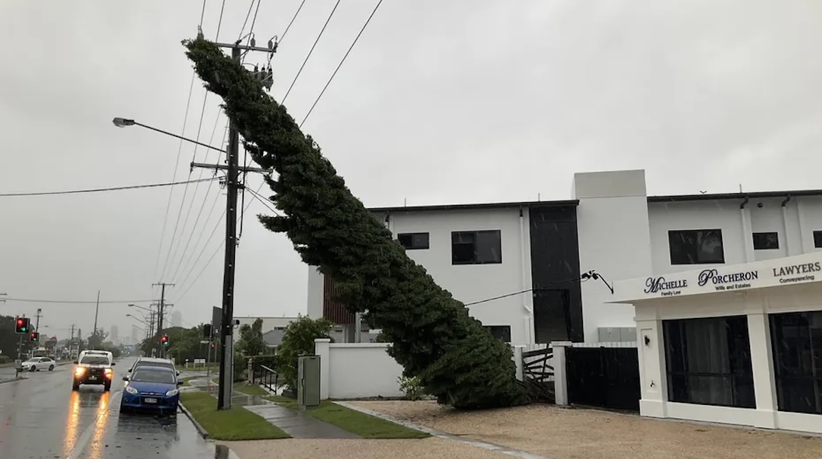 Coupures d'électricité, arbres arrachés, plages érodées : les premiers effets d'Alfred se font sentir en AustralieCoupures d'électricité, arbres arrachés, plages érodées : les premiers effets d'Alfred se font sentir en Australie