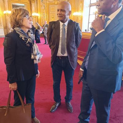 Actu Senat 15